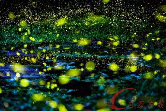 Ξ���x�l��ԭ�톢�l��ЧLED��������