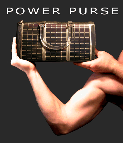 ̫����ִ�Power Purse