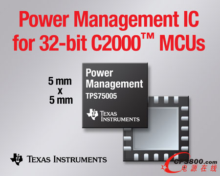 ���݃x���Ƴ�����32λC2000™���r����MCU���Դ����IC