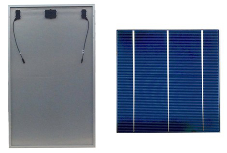 �ȁ���PV TOP.5���g�M��