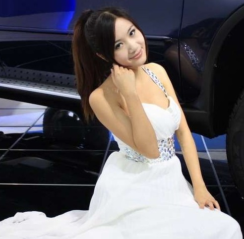 2010��ȡ��Gɫ��ؐ��