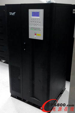 �C���F���D