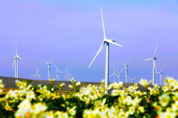 2015���҇�����Դ�ИI���߼��lչǰ������