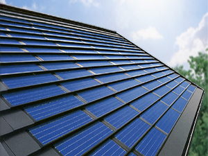 ���������w�������������l��Ŀ���W