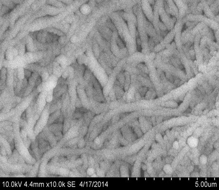 ��ӳ��e�چα�̼�{�׹��ϵ�͸������@΢�R�D��