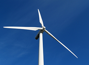 �ЏV����ُDouvan�L��Ŀ100%�ə�