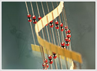 �a(ch��n)Ʒ�D