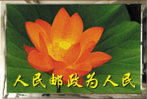 �a(ch��n)Ʒ�D